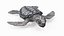 Baby Sea Turtle Gray 3D model