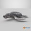 Baby Sea Turtle Gray 3D model