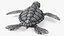 Baby Sea Turtle Gray 3D model