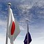 Flag Pole