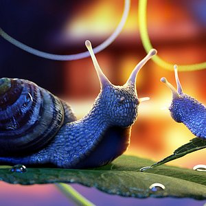 snail