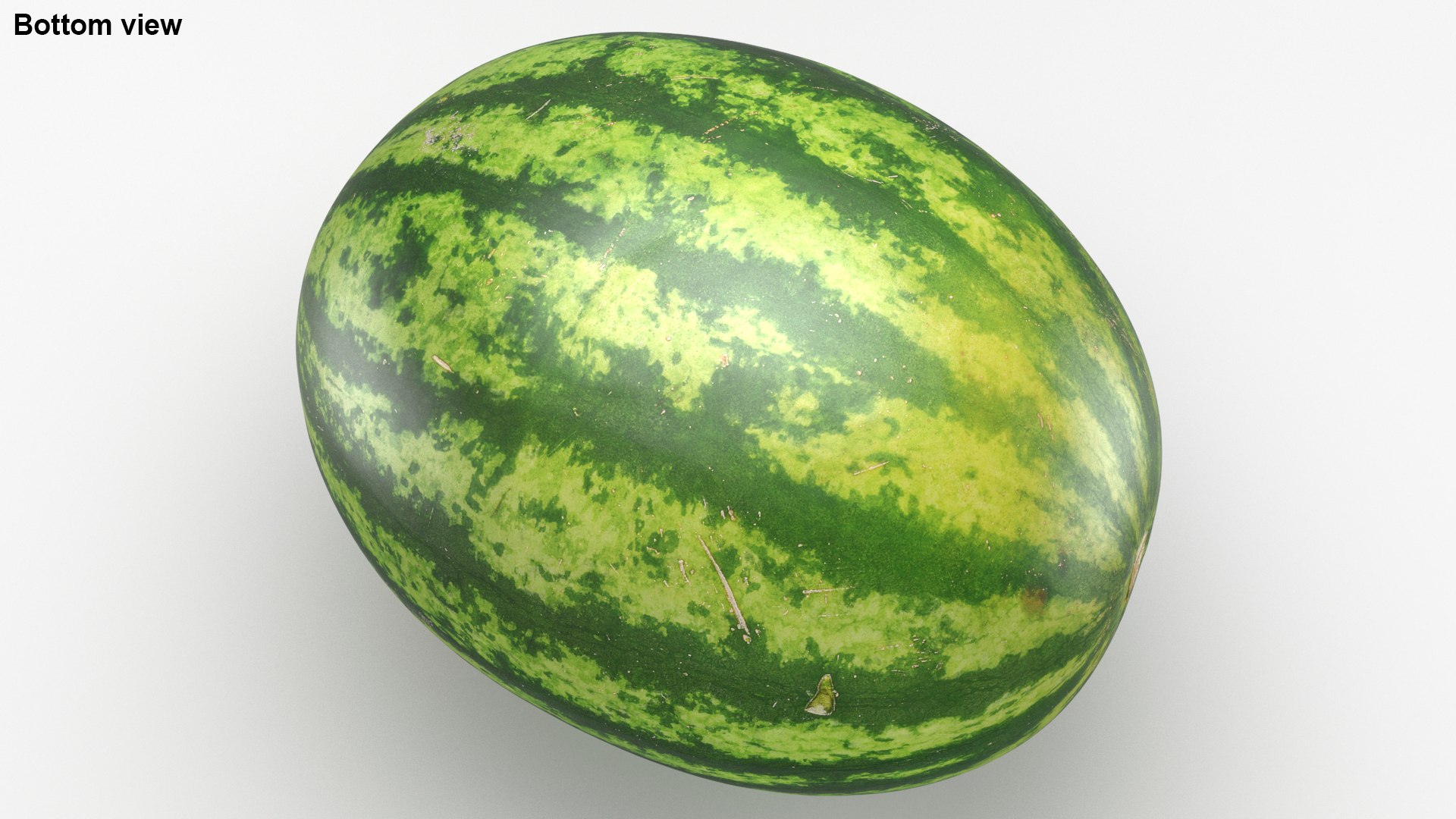 3D Watermelon model https://p.turbosquid.com/ts-thumb/wq/g2oKAI/aF/watermelon_b0017/jpg/1637165935/1920x1080/fit_q87/86fc562f3b6ff468b75ce4f697de5f7c1019924a/watermelon_b0017.jpg