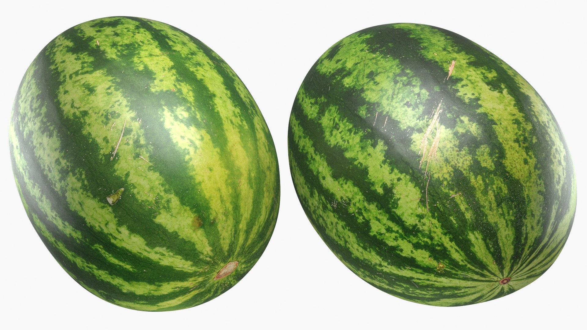 3D Watermelon model https://p.turbosquid.com/ts-thumb/wq/g2oKAI/bT/watermelon_a0002/jpg/1637165928/1920x1080/fit_q87/b86a2301ac2de0e51ab1d1da07d1d42ecc6a40fa/watermelon_a0002.jpg