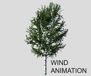 birch tree animation wind max
