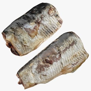 Canned Sardine - Real-Time Collection