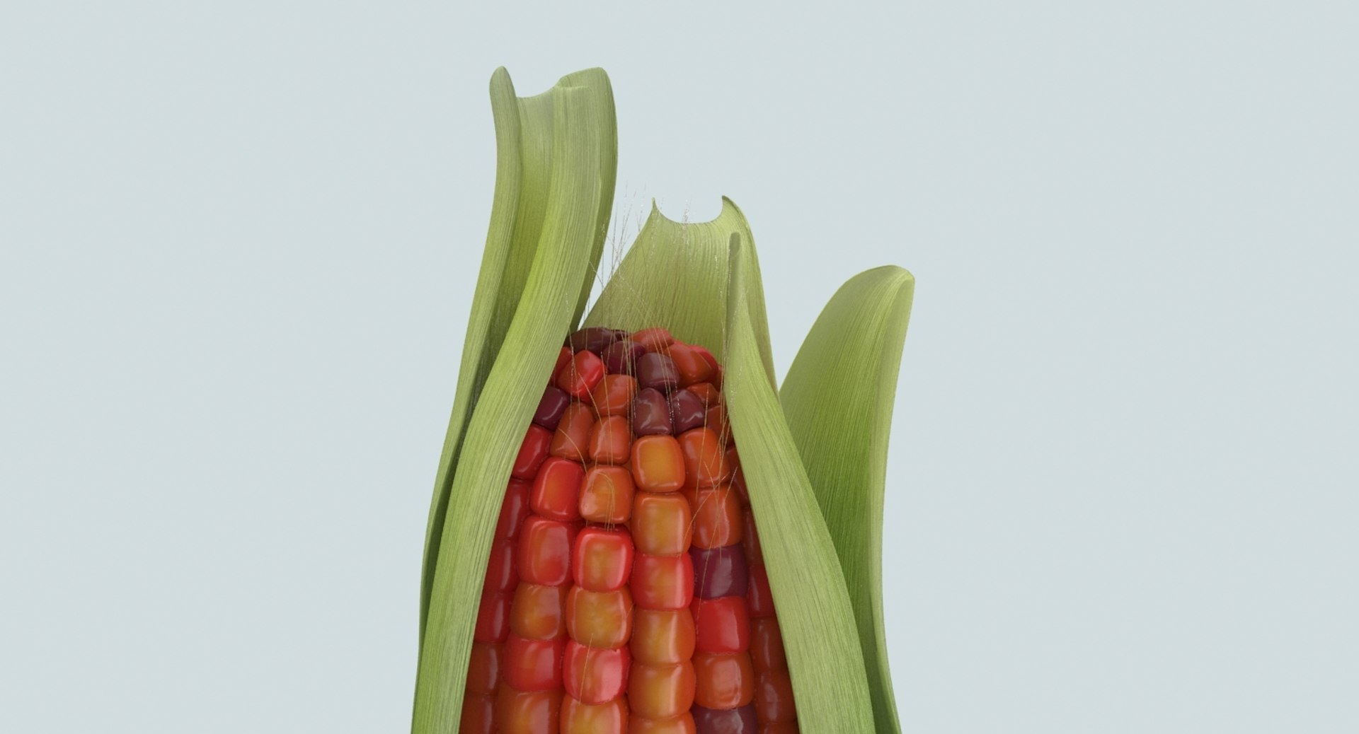 fall decor 3D model https://p.turbosquid.com/ts-thumb/wq/oe41pk/0QTutAKQ/ear_of_corn_01_03_productshot_0006.jpg98fa782d2ef4410b953e00efd959ba4edefaulthq/jpg/1567715753/1920x1080/fit_q87/71ac587f53d78adf45cce8604f30f3d1c887a063/ear_of_corn_01_03_productshot_0006.jpg98fa782d2ef4410b953e00efd959ba4edefaulthq.jpg