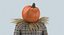 Colección de decoración de otoño