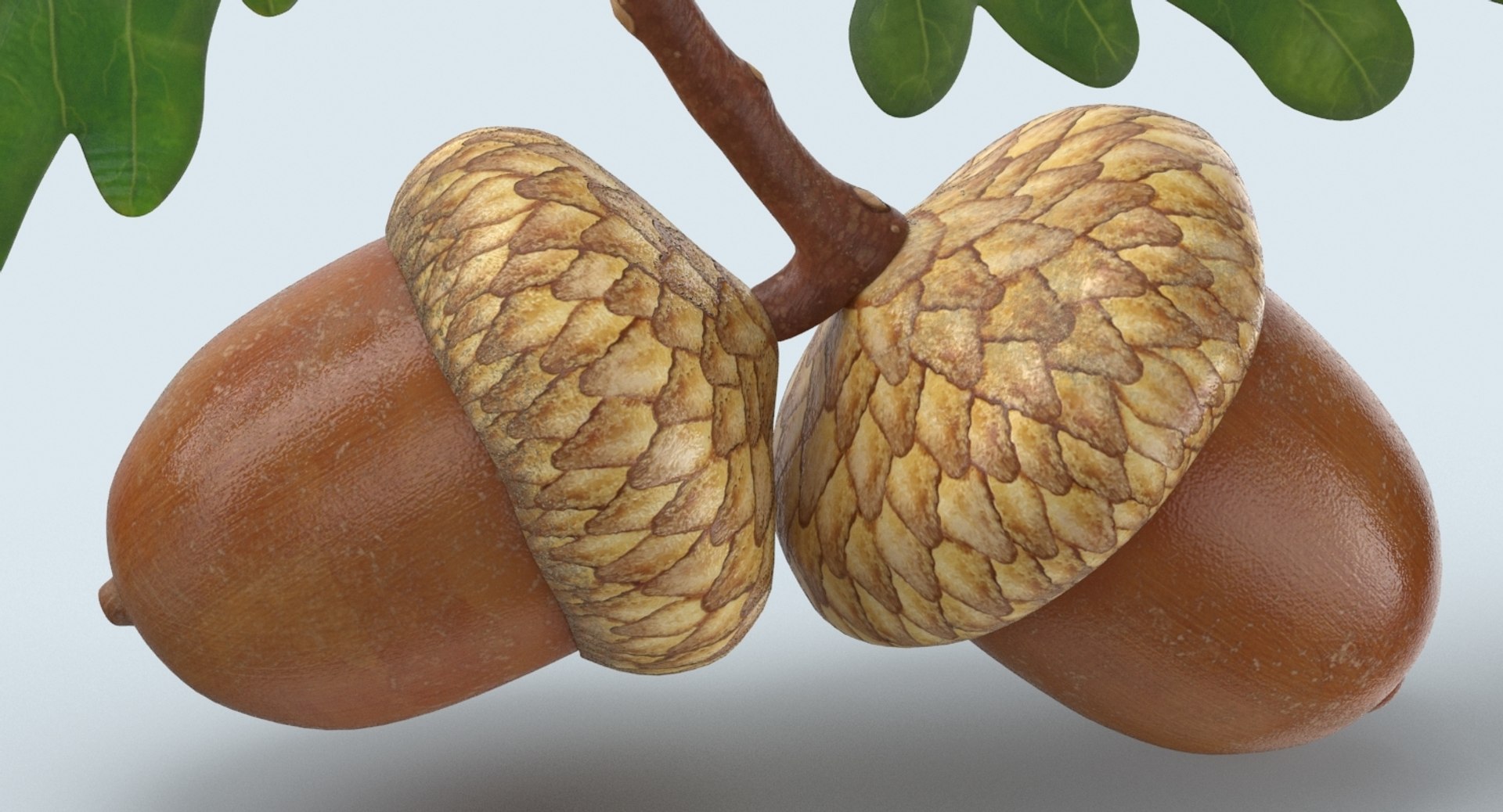 fall decor 3D model https://p.turbosquid.com/ts-thumb/wq/oe41pk/dIo8kg9s/dhq3/jpg/1567715629/1920x1080/fit_q87/d669e7654927a1bd6032404e7e38eb5a5cd4e370/dhq3.jpg
