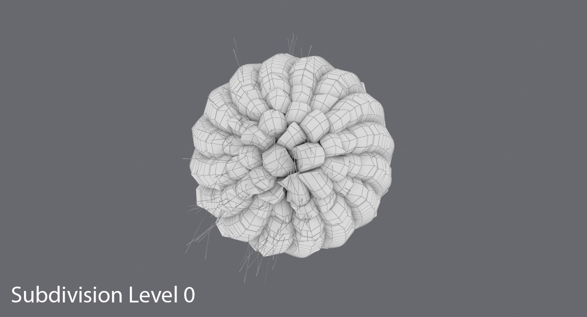 fall decor 3D model https://p.turbosquid.com/ts-thumb/wq/oe41pk/fyvXK4zg/ear_of_corn_02_03_wireframe_0001.jpgddf1fc67b7c24450971c6cb26683242edefaulthq/jpg/1567715723/1920x1080/fit_q87/2065eff2eb7b20b41cfdeea230f15baaf4192aba/ear_of_corn_02_03_wireframe_0001.jpgddf1fc67b7c24450971c6cb26683242edefaulthq.jpg