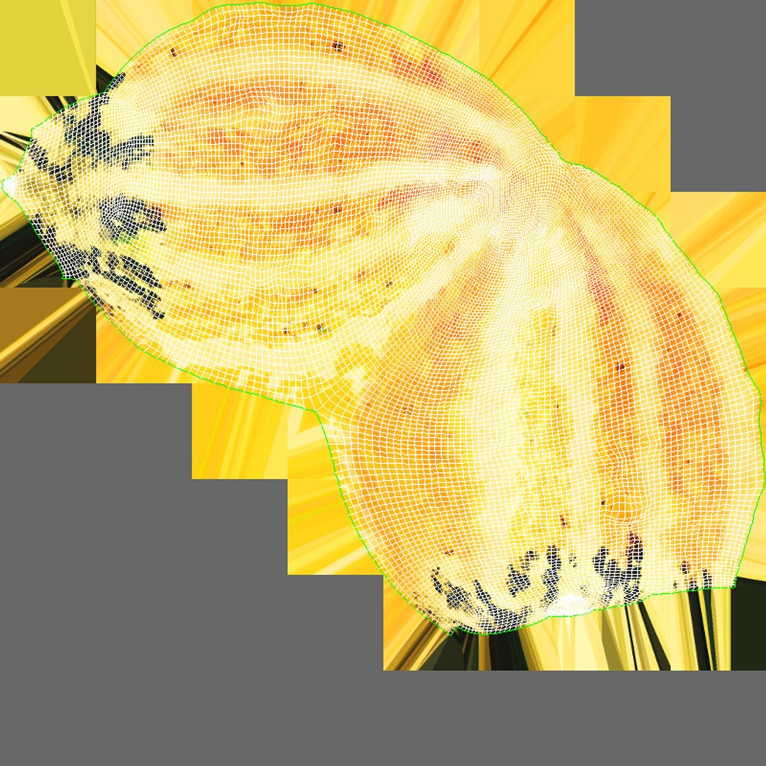 fall decor 3D model https://p.turbosquid.com/ts-thumb/wq/oe41pk/sf2qLzIT/uv.jpg65fbece750dc4c58aee1d567dc82f0acdefaulthq/jpg/1567715775/1920x1080/fit_q87/d0ddec4542ac3ad685125608a47646db2b451588/uv.jpg65fbece750dc4c58aee1d567dc82f0acdefaulthq.jpg