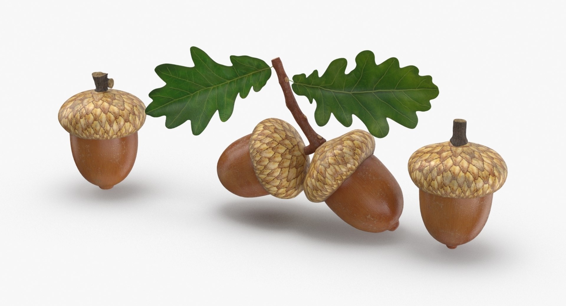 fall decor 3D model https://p.turbosquid.com/ts-thumb/wq/oe41pk/vvZwJVRh/dhq1/jpg/1567715629/1920x1080/fit_q87/cd8cfd9af4ceb8e6e220c8e4872161028131204f/dhq1.jpg