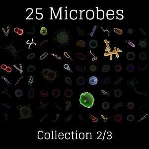 microbes micro bacteria cells 3D model