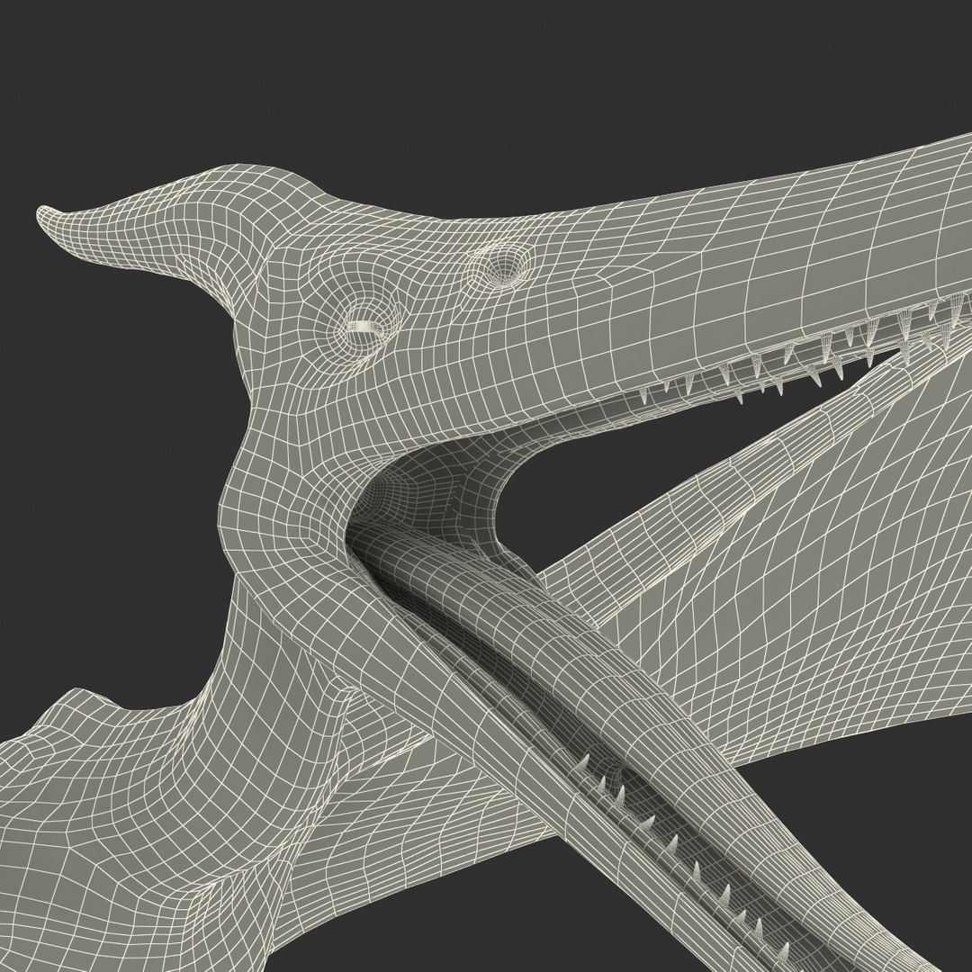 max pterodactyl https://p.turbosquid.com/ts-thumb/wr/AapZM4/2vhALh4r/pterodactyl_30/jpg/1407940987/1920x1080/fit_q87/2d3f77b391e1690504b5ac5c1b9c3a40e1845766/pterodactyl_30.jpg