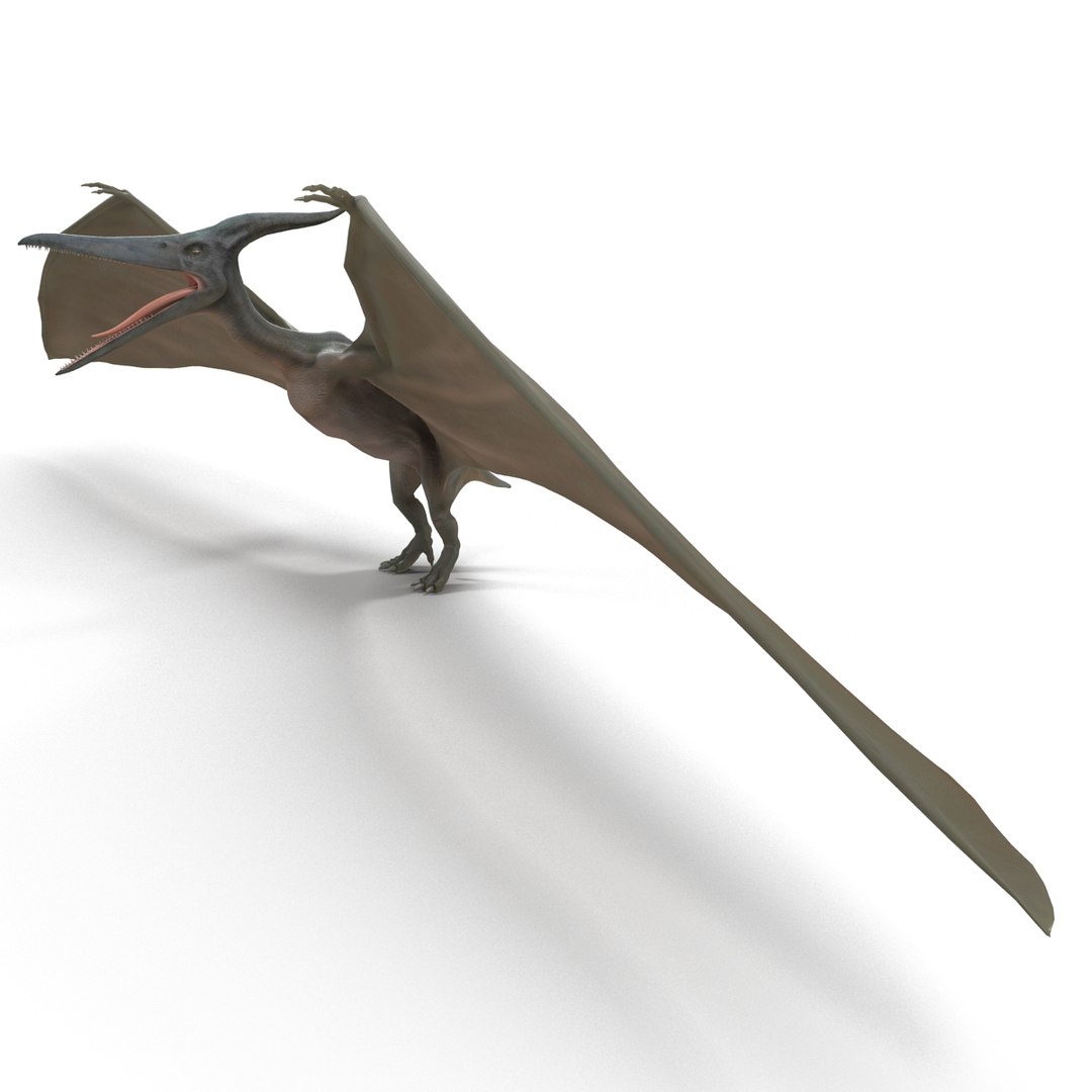 max pterodactyl https://p.turbosquid.com/ts-thumb/wr/AapZM4/39hmApEw/pterodactyl_8/jpg/1407940899/1920x1080/fit_q87/4e902df145b267c5bdaf464a7cbd9596241afb88/pterodactyl_8.jpg