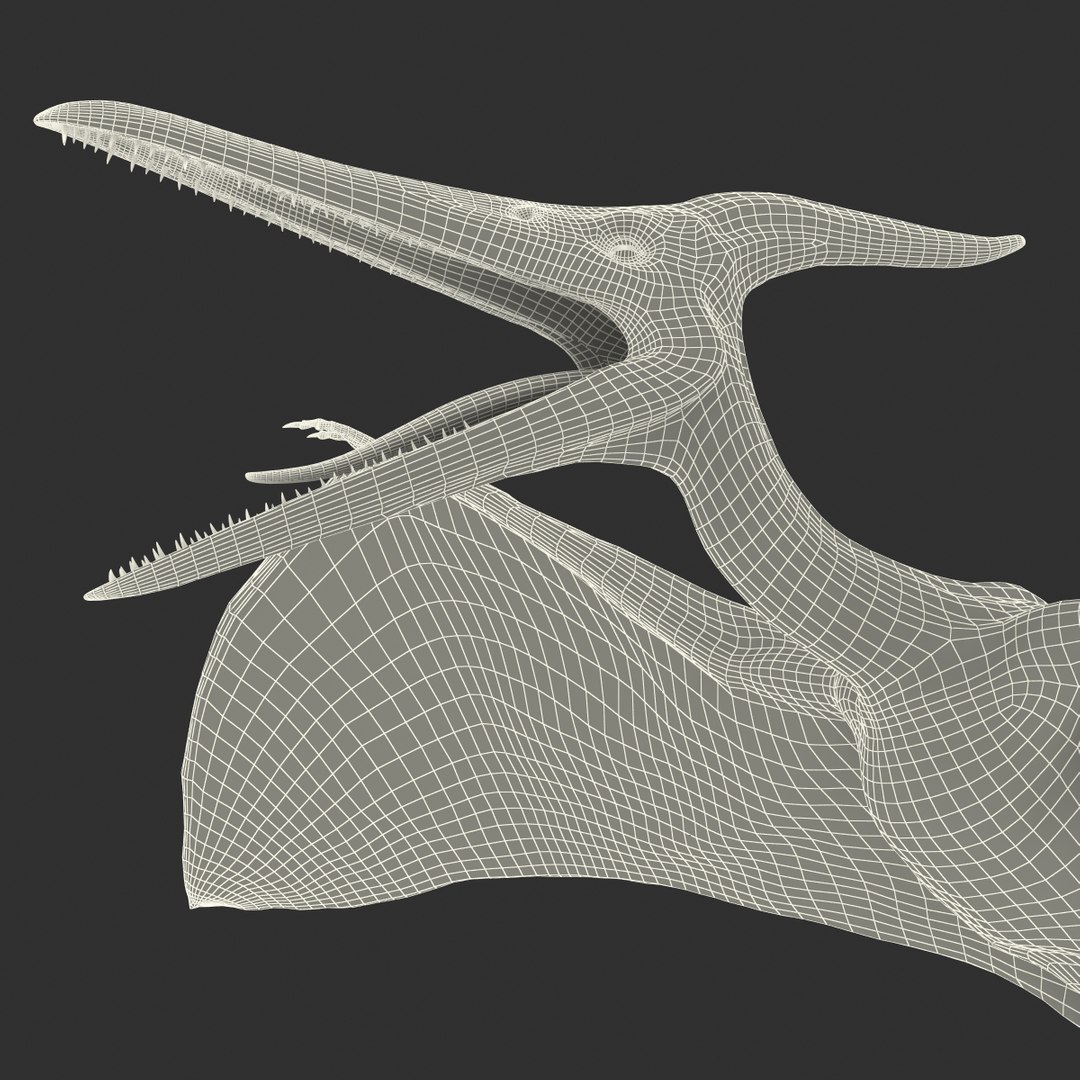 max pterodactyl https://p.turbosquid.com/ts-thumb/wr/AapZM4/4xd56E7m/pterodactyl_25/jpg/1407940977/1920x1080/fit_q87/a0f4238ad19d139c81e11f564c23555663164cb6/pterodactyl_25.jpg