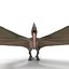 Pterodáctilo