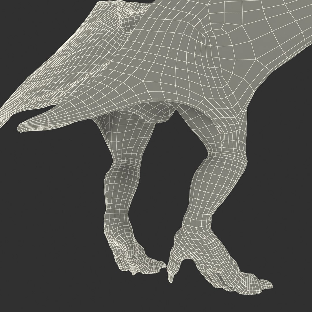max pterodactyl https://p.turbosquid.com/ts-thumb/wr/AapZM4/Dt40A0Ly/pterodactyl_28/jpg/1407940982/1920x1080/fit_q87/921a485a4d0bc572964b42f1e98405f7b9aec510/pterodactyl_28.jpg