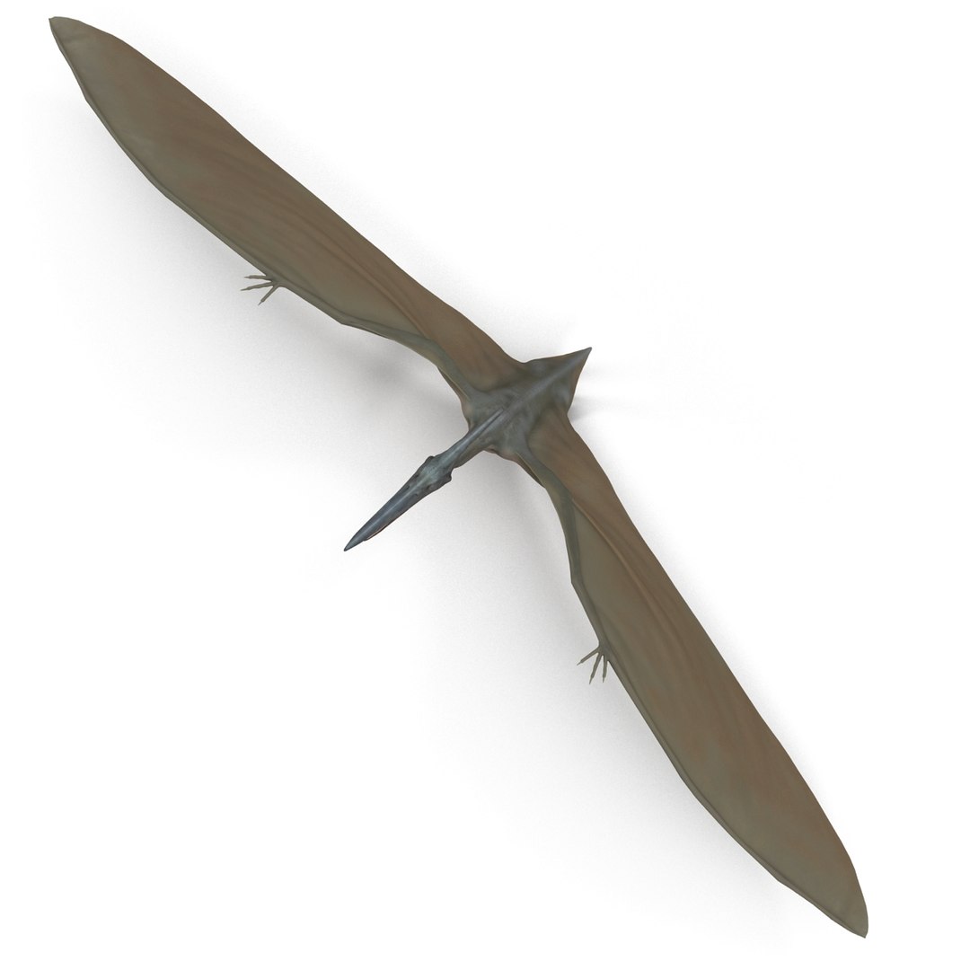 max pterodactyl https://p.turbosquid.com/ts-thumb/wr/AapZM4/Dx0oXn4S/pterodactyl_9/jpg/1407940901/1920x1080/fit_q87/9d9671f8beeb1eab19e6cae27872d8d735d1e95b/pterodactyl_9.jpg