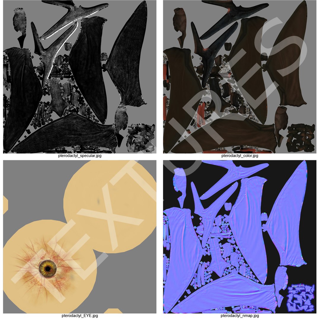 max pterodactyl https://p.turbosquid.com/ts-thumb/wr/AapZM4/Oj3PGlXV/pterodactyl_4/jpg/1407940969/1920x1080/fit_q87/f0e08c3706e345d615531f3b1ae75697f6a9671c/pterodactyl_4.jpg