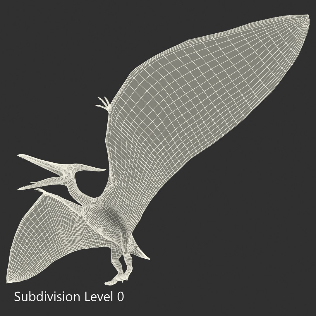 max pterodactyl https://p.turbosquid.com/ts-thumb/wr/AapZM4/RbKtpVCL/pterodactyl_6/jpg/1407940894/1920x1080/fit_q87/d6f040b8324a022c06cf5d76a728be3beac3dbd6/pterodactyl_6.jpg
