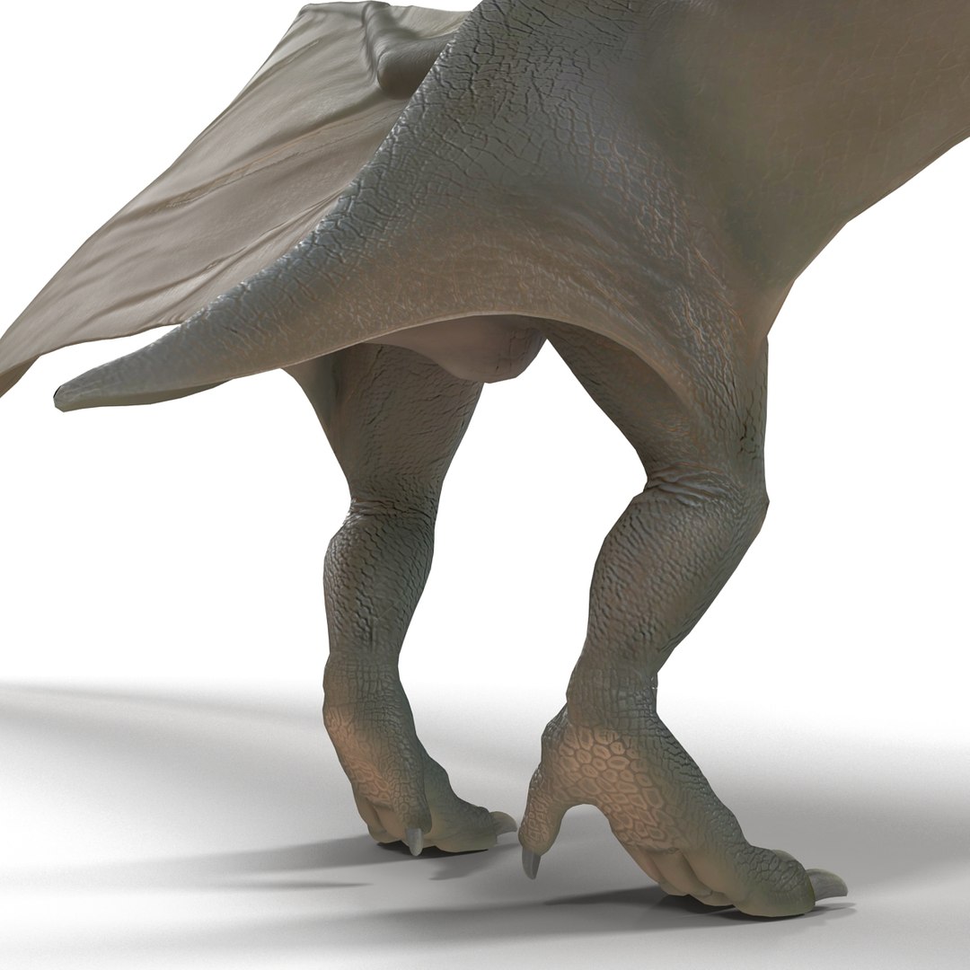max pterodactyl https://p.turbosquid.com/ts-thumb/wr/AapZM4/cHA4Ltwy/pterodactyl_16/jpg/1407940961/1920x1080/fit_q87/9ea85159344c9c7dc88aead8087303855ed49690/pterodactyl_16.jpg