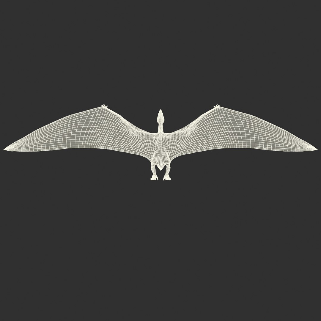max pterodactyl https://p.turbosquid.com/ts-thumb/wr/AapZM4/iq1NnqR6/pterodactyl_31/jpg/1407940944/1920x1080/fit_q87/b88cee9d74306095914f775e5065386a16b53332/pterodactyl_31.jpg