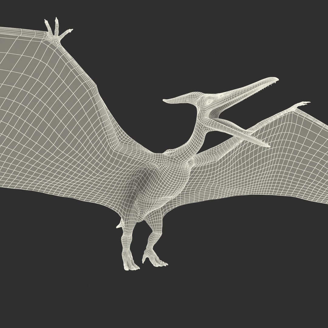 max pterodactyl https://p.turbosquid.com/ts-thumb/wr/AapZM4/kTaHq1va/pterodactyl_33/jpg/1407941027/1920x1080/fit_q87/9bbd44fad564f92efe389479ec91282c2c994c85/pterodactyl_33.jpg