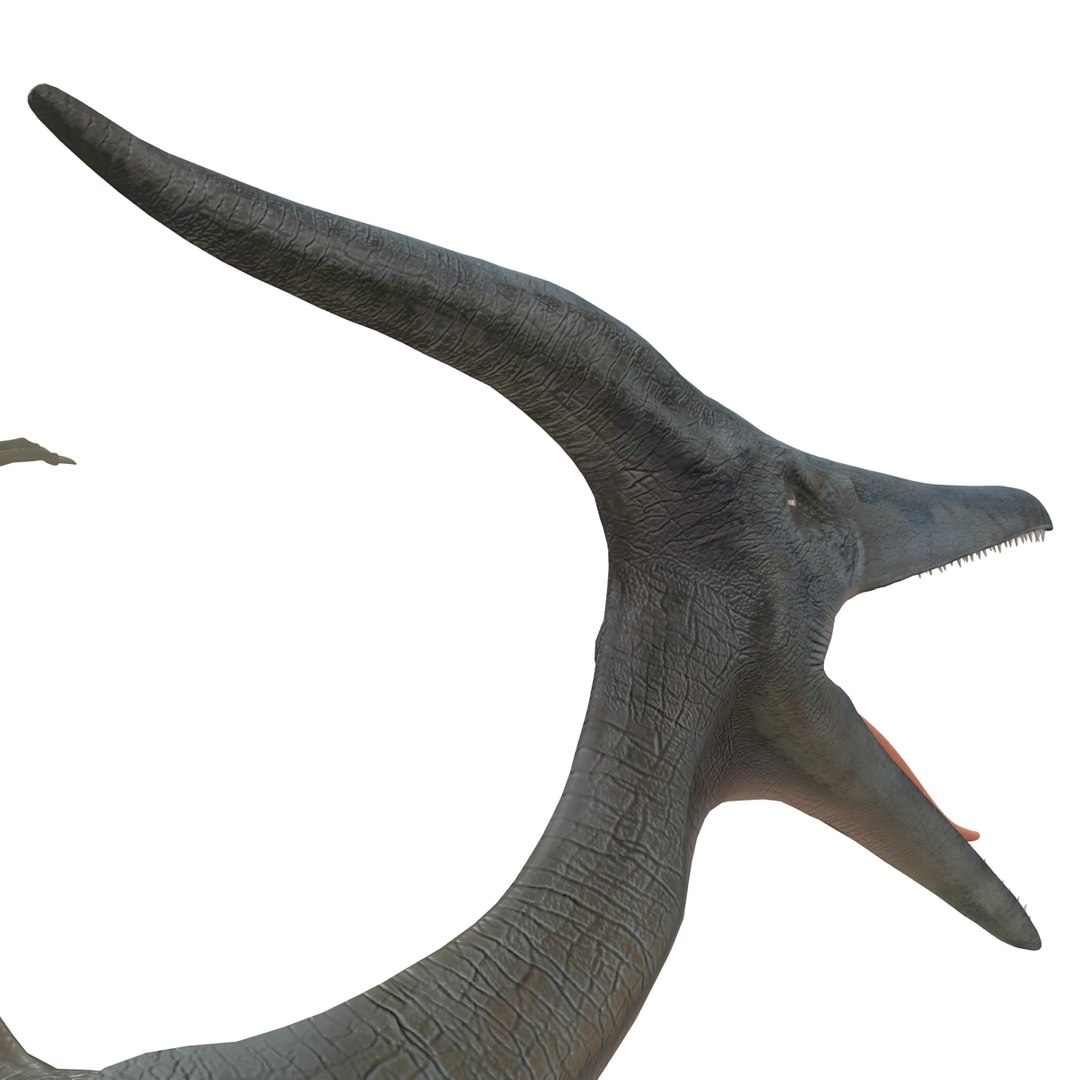 max pterodactyl https://p.turbosquid.com/ts-thumb/wr/AapZM4/nzXrAwYb/pterodactyl_18/jpg/1407940998/1920x1080/fit_q87/2b32a6f89370626314da06981567bfd3a0cc147d/pterodactyl_18.jpg