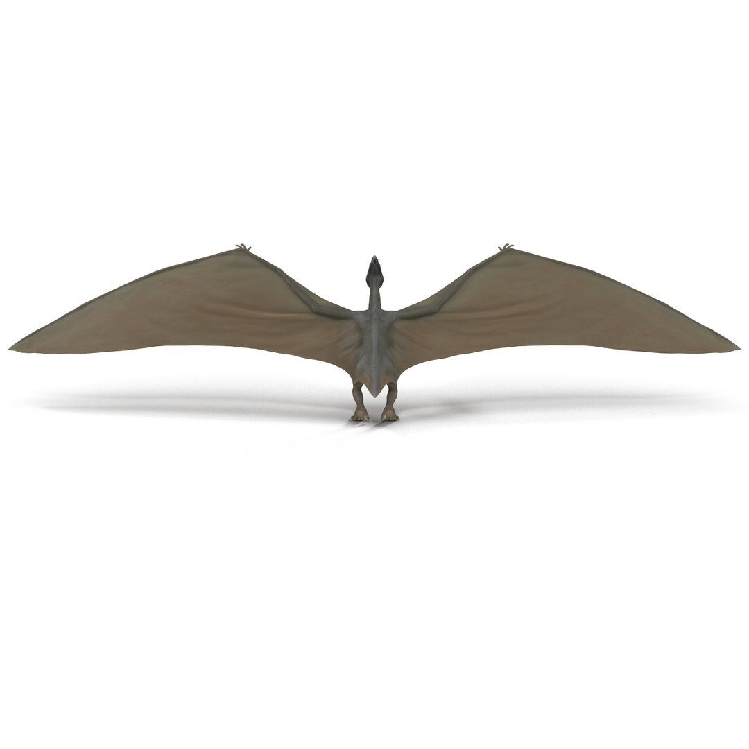 max pterodactyl https://p.turbosquid.com/ts-thumb/wr/AapZM4/p5UCvipg/pterodactyl_10/jpg/1407940903/1920x1080/fit_q87/3c18de53caf55002dbe45236e3dbc551087459b0/pterodactyl_10.jpg