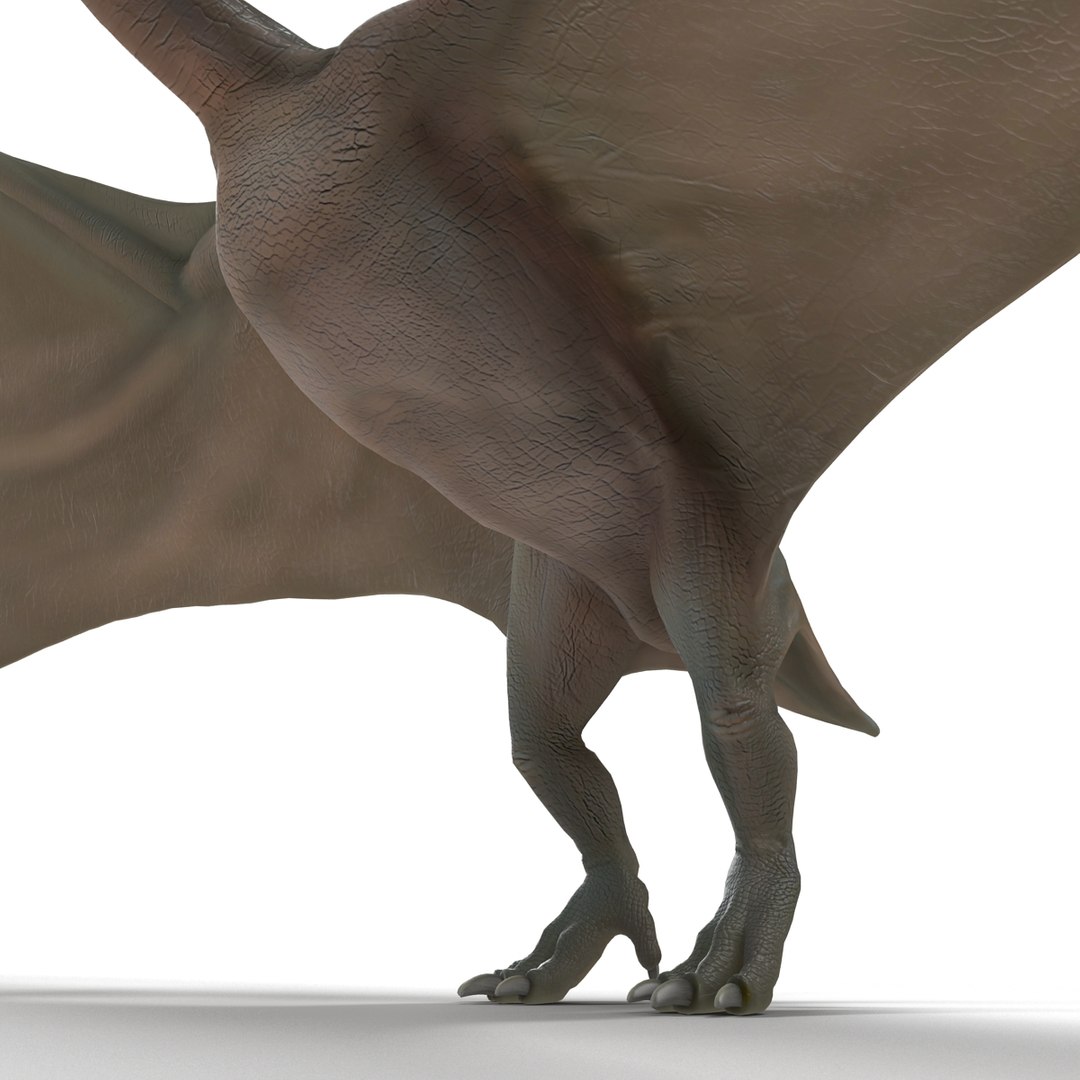 max pterodactyl https://p.turbosquid.com/ts-thumb/wr/AapZM4/rqNC0Qtu/pterodactyl_14/jpg/1407940911/1920x1080/fit_q87/12e5942d4fda5fe12889621ef7f24aae7c350cfb/pterodactyl_14.jpg
