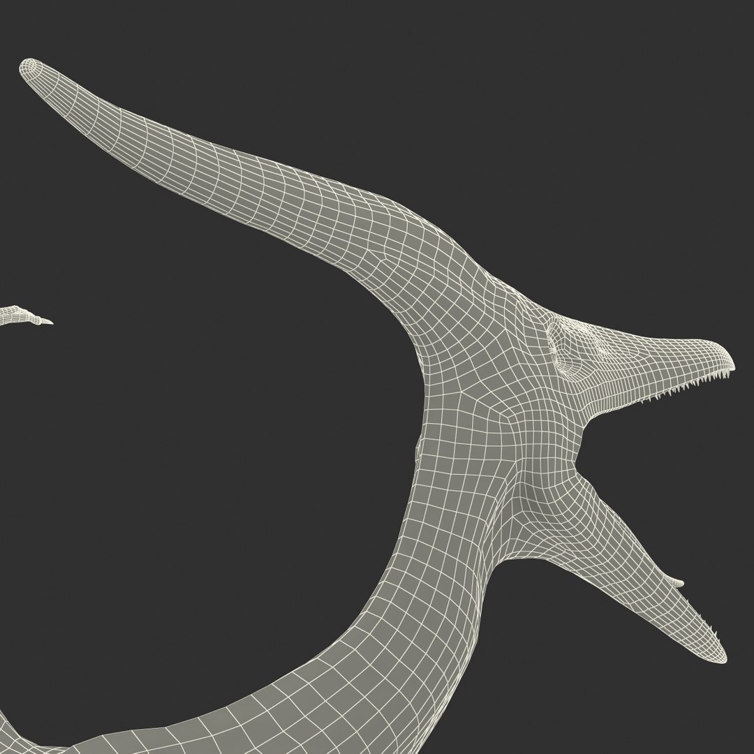 max pterodactyl https://p.turbosquid.com/ts-thumb/wr/AapZM4/sY7tsnRC/pterodactyl_29/jpg/1407940985/1920x1080/fit_q87/e9a18545934f478c9e1afa39a81905c7d91a0600/pterodactyl_29.jpg