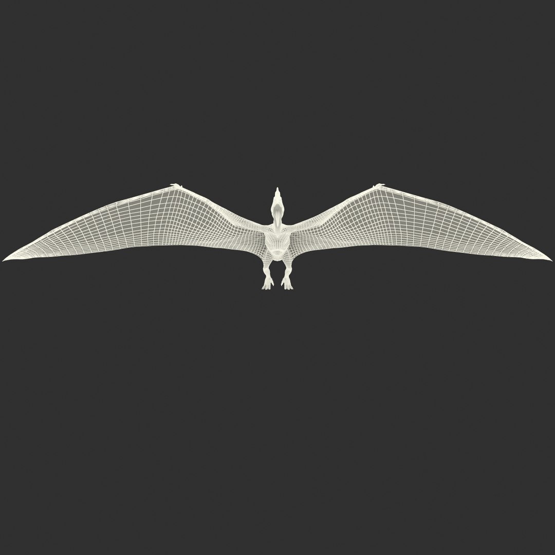 max pterodactyl https://p.turbosquid.com/ts-thumb/wr/AapZM4/t8juv2Y3/pterodactyl_32/jpg/1407940992/1920x1080/fit_q87/d24beaeaf217f21d33f8f4f52cb759665f77d319/pterodactyl_32.jpg