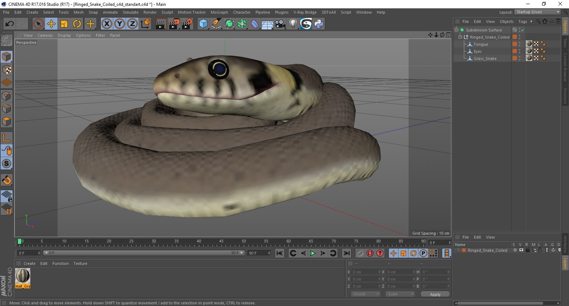 Ringed Snake Coiled 3D Model - TurboSquid 2247562