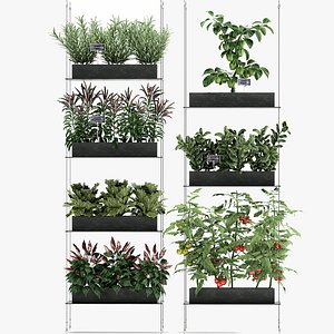 Vertical garden for the kitchen 70