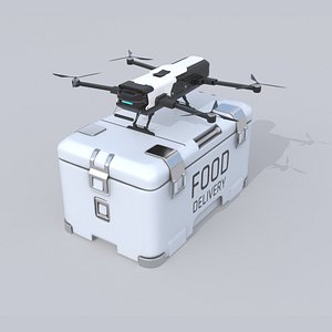 Food Delivery Drone quad copter 3D model