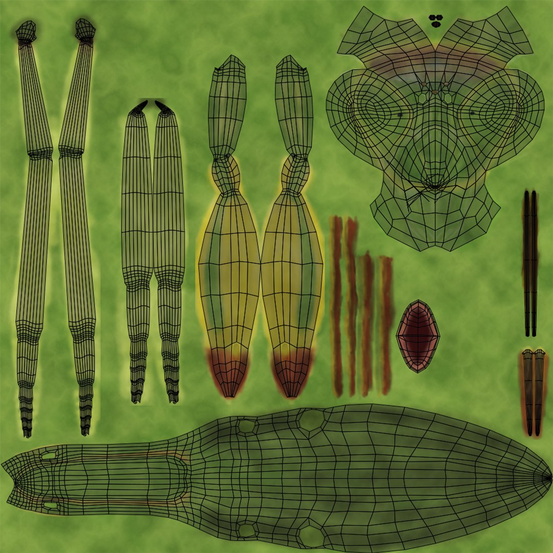 Praying mantis model - TurboSquid 1628791