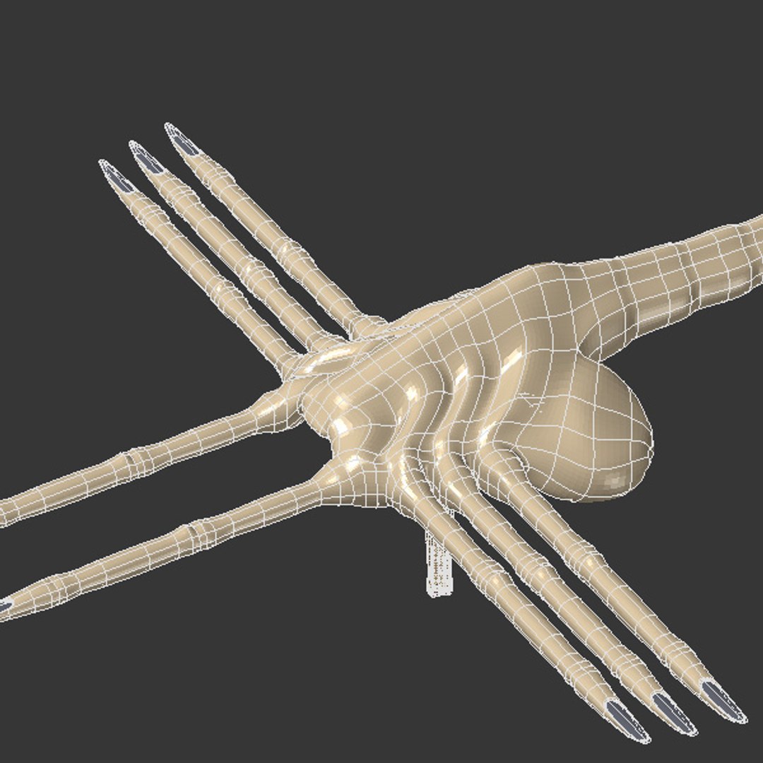 lightwave facehugger alien https://p.turbosquid.com/ts-thumb/wr/QAO6M2/825ziSLB/subpatch_thumbnail5.jpg/jpg/1069028580/1920x1080/fit_q87/9fba414877242f21bec9e052cb49357c37e3317f/subpatch_thumbnail5.jpg.jpg