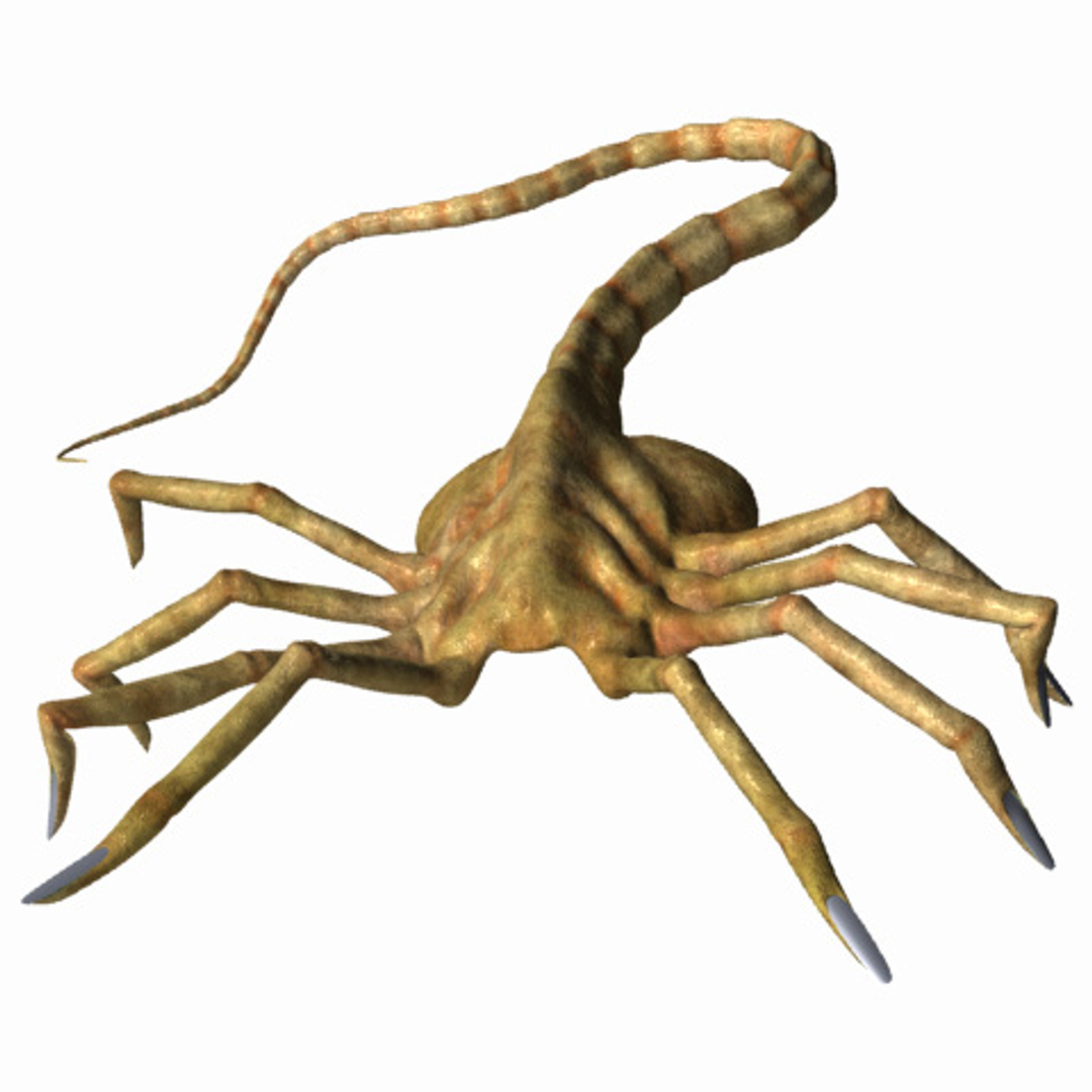lightwave facehugger alien
