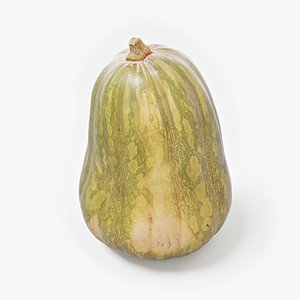 Pumpkin
