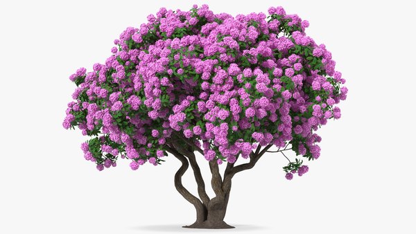 modelo 3d Rododendro Flor Púrpura Árbol - TurboSquid 1729551