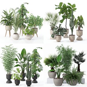 20 Photorealistic Flowers for Interiors - set 121 125 128 132