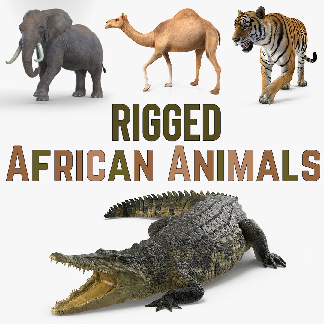 Rigged African Animals 3D Models Collection 3D model preview