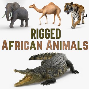3D rigged african animals model