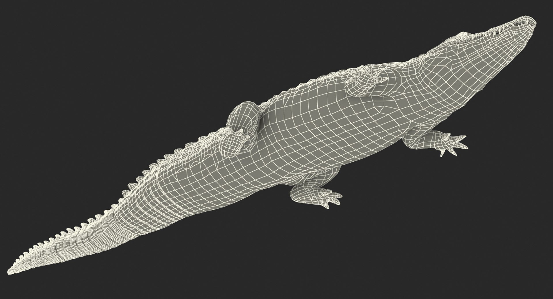 3D rigged african animals model https://p.turbosquid.com/ts-thumb/wr/lA7KWu/CoCcrOgI/riggedafricananimalscollectionmb3dmodel033/jpg/1529569983/1920x1080/fit_q87/5939063ba46b19bae7e4355c489167272751cd90/riggedafricananimalscollectionmb3dmodel033.jpg