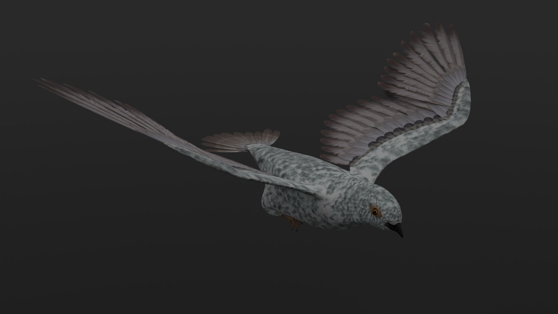 3D Rigged Pigeon Model - TurboSquid 1432351