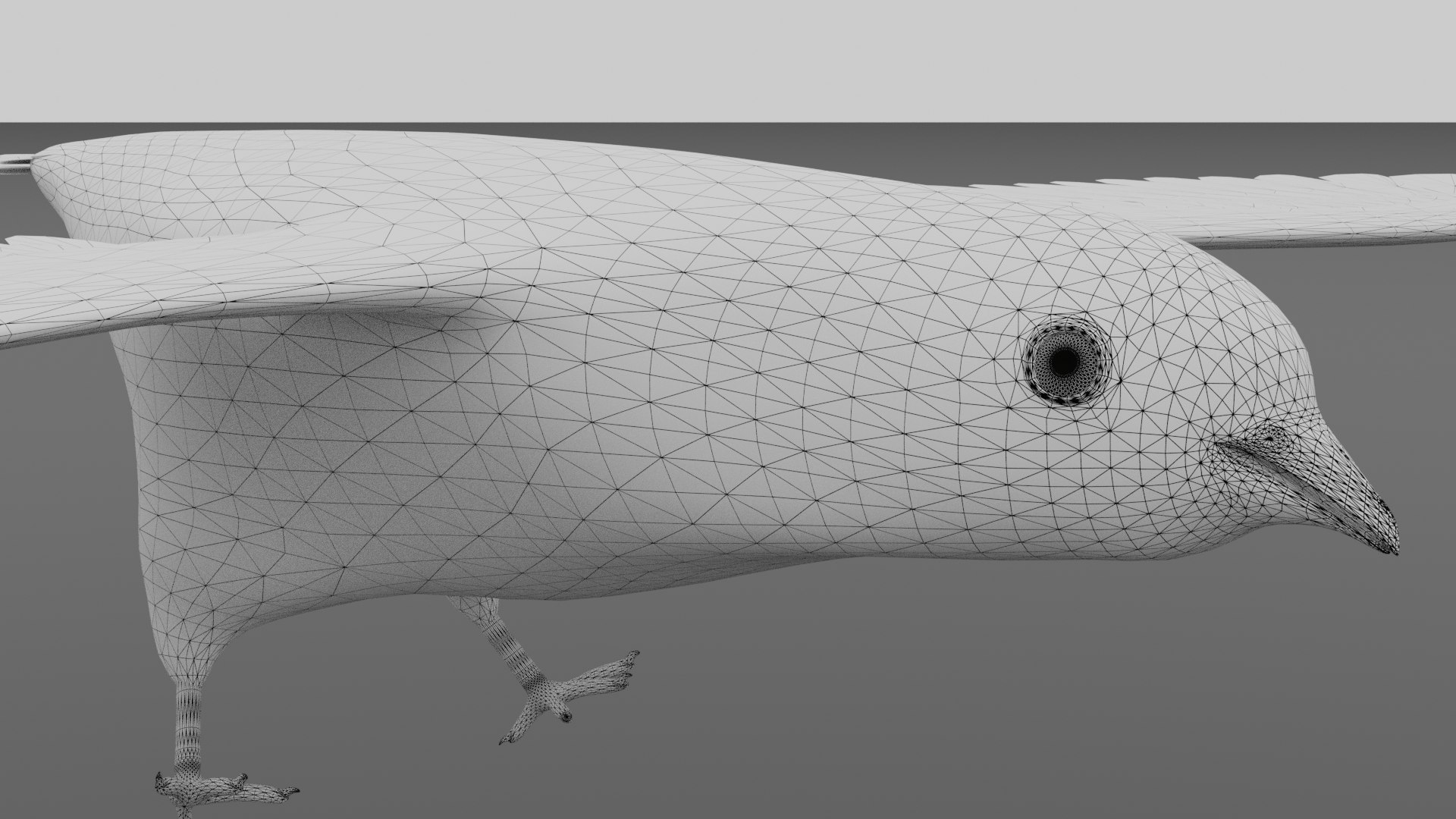 3D Rigged Pigeon Model - TurboSquid 1432351