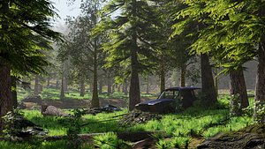 Abandoned Car in Forest Scene