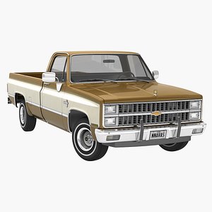 CHEVROLET SILVERADO C10 1981