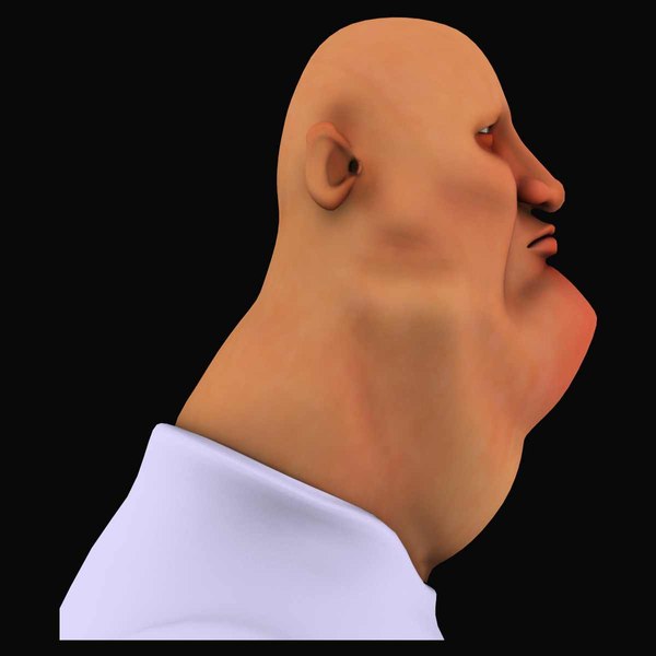 3d captain rig model