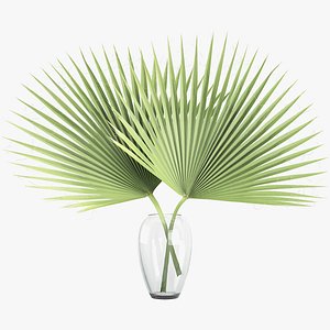 palm leaves 3D model
